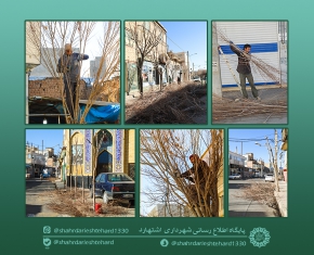 هرس درختان خیابان امام خمینی (ره)