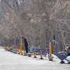 نصب ست ورزشی در بوستان سعدی