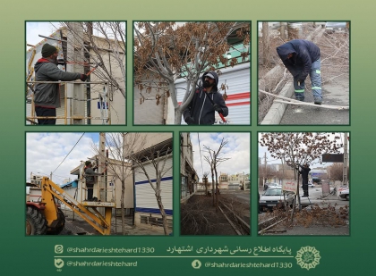 هرس درختان خیابان شهید صدوقی واقع در محله خیابان بزرگ